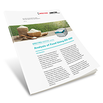 App Brief Food Analysis