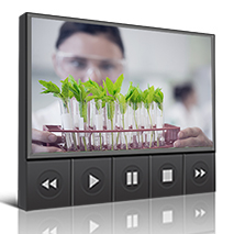 Webinar Environmental